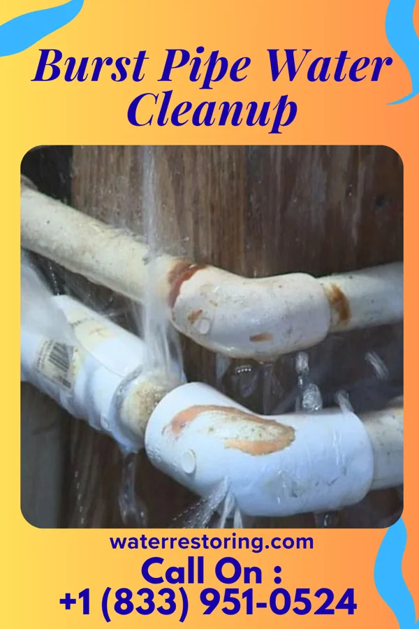 Burst Pipe Water Cleanup in Nyack, NY