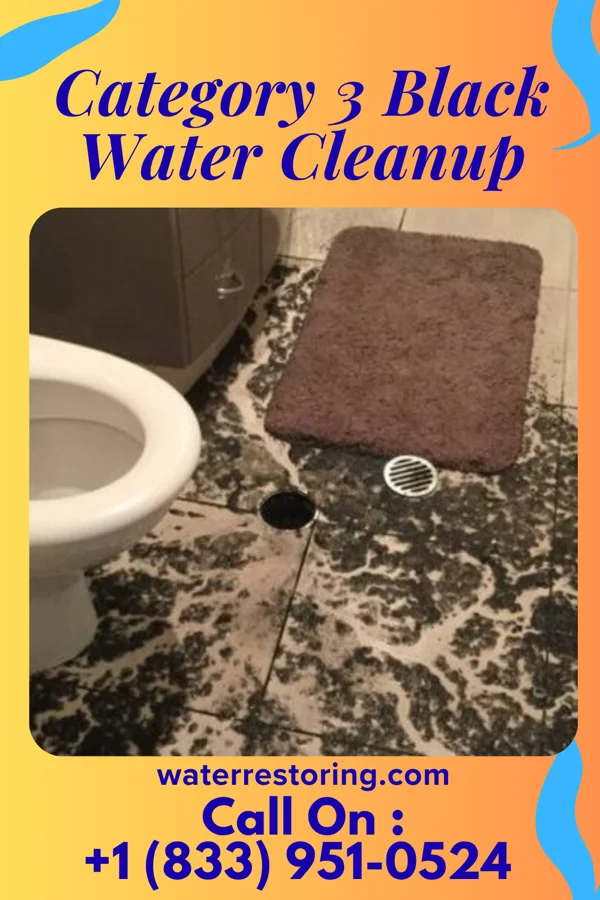 Category 3 Black Water Cleanup in Nyack, NY