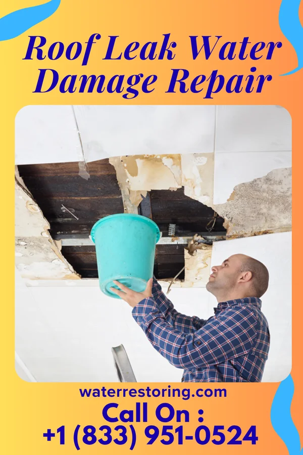 Roof Leak Water Damage Repair in Nyack, NY