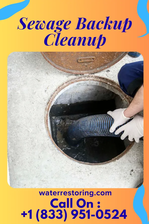 Sewage Backup Cleanup in Nyack, NY