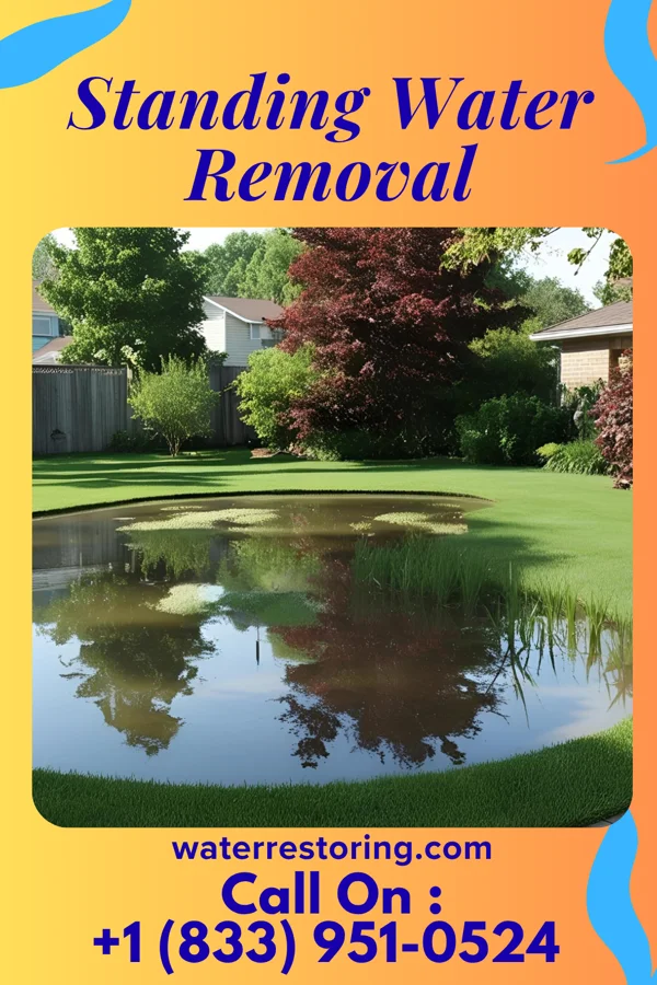 Standing Water Removal in Nyack, NY